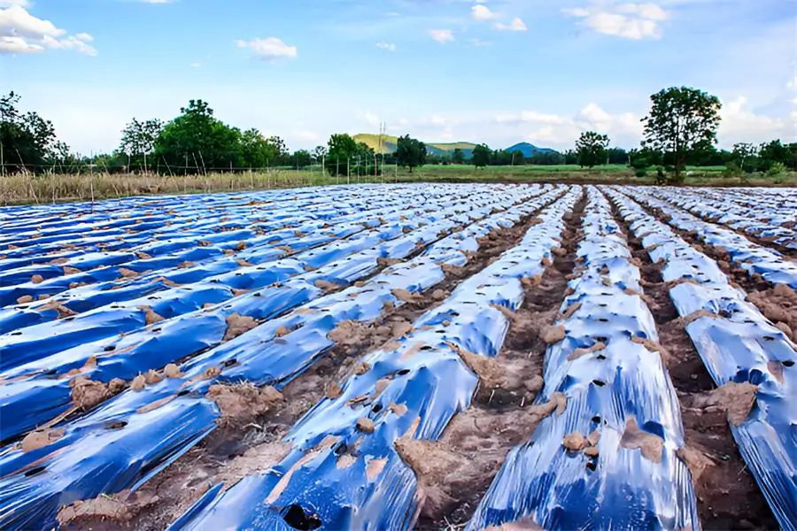 Agricultural Films