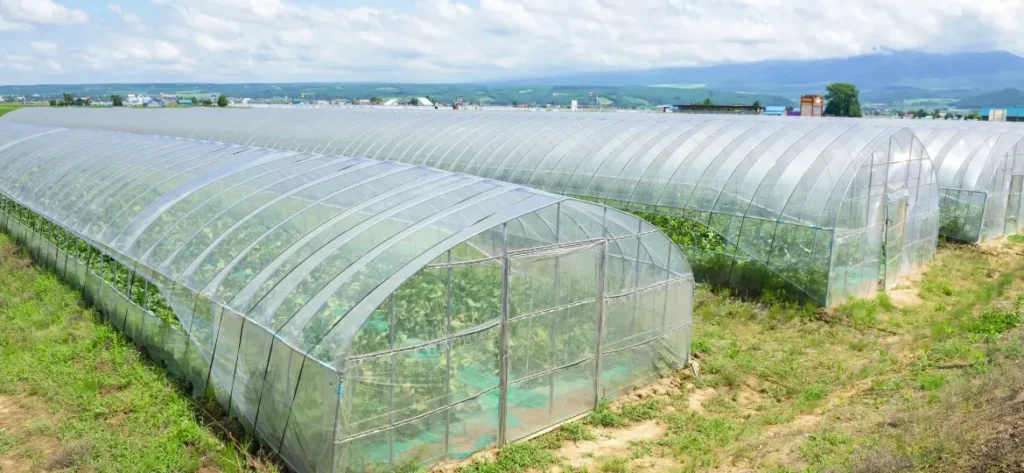 Agricultural Greenhouse Films